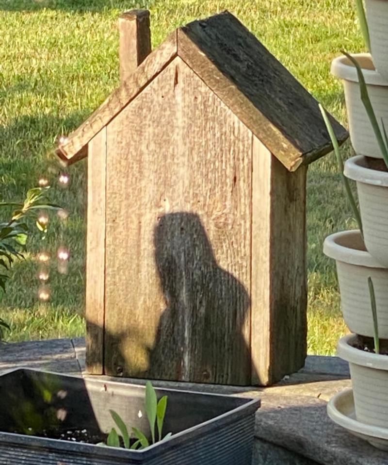 Shadow of Jesus Shadow of Jesus