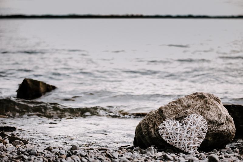 Heart on the shoreline Shared humanity and a spacious heart
